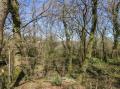 Image of Stapleford Farm, Beaminster - Photo #13