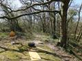 Image of Stapleford Farm, Beaminster - Photo #14