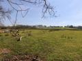 Image of Stapleford Farm, Beaminster - Photo #2