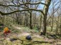 Image of Stapleford Farm, Beaminster - Photo #4