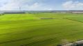 Image of Bewholme, Skipsea - Photo #2
