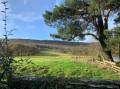 Image of White Haywood Farmhouse & Barn, Craswall - Photo #5