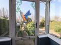Image of Kingfisher House, Staithes - Photo #3