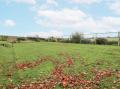 Image of Elford Farmhouse, Seahouses - Photo #1