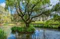 Image of Hall O'Coole, Wrenbury - Photo #3