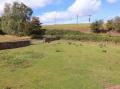 Image of Millbarn, Crowcombe - Photo #2