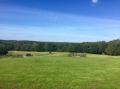Image of Blackstock Country Estate, Hailsham - Photo #2