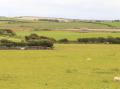 Image of Bodlasan Groes House, Llanfachraeth - Photo #2