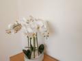Image of K & J Holiday House, Bridlington - Photo #6