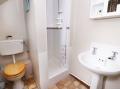 Image of Cedar Cottage, Llanidloes - Photo #10