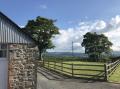 Image of Y Cartws, Newport - Photo #13