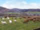 Image of 3 Tyn Y Mynydd, Penmachno - Photo #12
