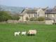 Image of Cross Beck Cottage, Reeth - Photo #1