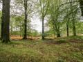 Image of Crabtree, Hawkshead - Photo #3