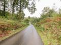 Image of Crabtree, Hawkshead - Photo #2