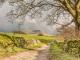 Image of Horton Scar House, Horton-in-Ribblesdale - Photo #12