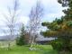 Image of Pine Lodge, Culbokie - Photo #12