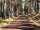Image of Pine Lodge, Culbokie - Photo #14