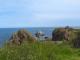Image of Seascape, Portknockie - Photo #15
