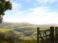 Image of Heather Corner, Haworth - Photo #3