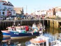 Image of Marina View, Whitby - Photo #5