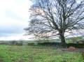 Image of 3 Primitive Croft, Chelmorton - Photo #10