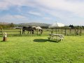 Image of View The Gallery, Okehampton - Photo #5