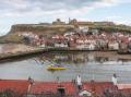 Image of Seahorse, Whitby - Photo #8
