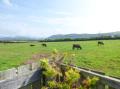 Image of Muncaster View , Ravenglass - Photo #10