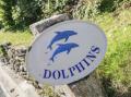 Image of Dolphins, Salcombe - Photo #1