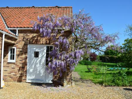 Wisteria Cottage, Gayton, Norfolk