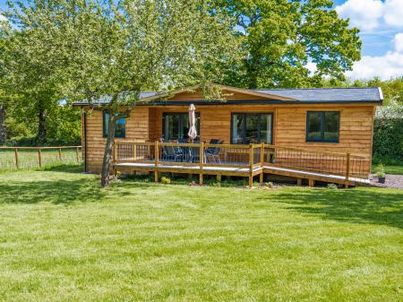 Top Style Orchard, Hallow, Worcestershire