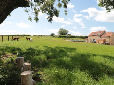 Shires Rest, Sturminster Newton, Dorset