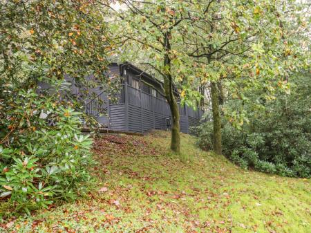 Tree Lodge, Windermere, Cumbria