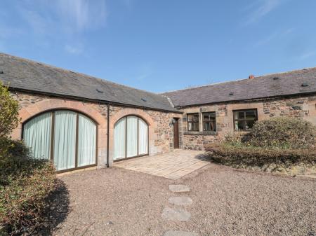 Pansy Plot, Wooler, Northumberland