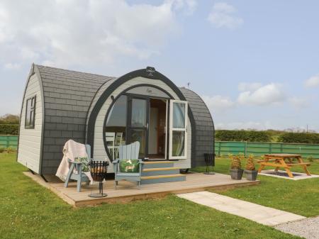 Poppy, Hornsea, Yorkshire