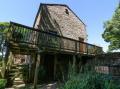 Chestnut, Alston