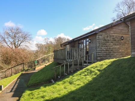 Chalet Log Cabin C11, Combe Martin, Devon