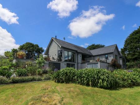 Wood Meadow, Helford
