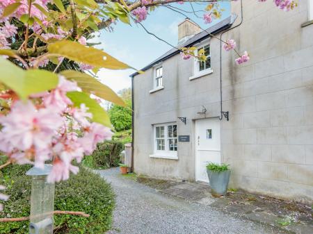 Laburnam Cottage, Cresswell Quay