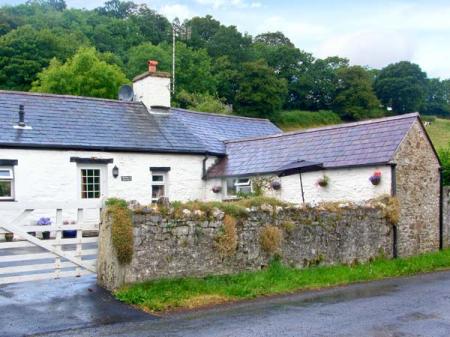 Gorrig Bwthyn, Llandysul