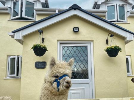 Saddlers Cottage, Clunderwen