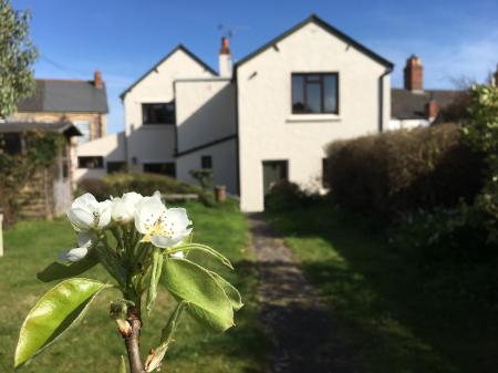 Greengates, Watchet, Somerset