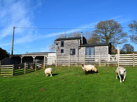 Shepherds Cabin at Titterstone, Clee Hill, Shropshire