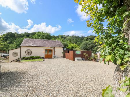 The Mill, Penrhiwllan, Dyfed