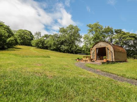 Dingle Den, Craswall, Herefordshire