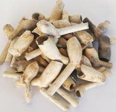 A jumble of clay pipes