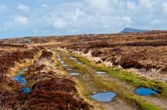 The trail to Rossinish