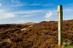 Heather moors, looking to Rueval