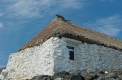 Berneray youth hostel
